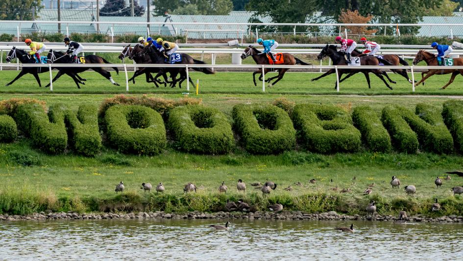 Natalma Stakes, Ontario Matron, Woodbine, horse racing, America's Best Racing, ABR
